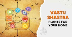 Vastu Shastra: Best Plants for Your Home