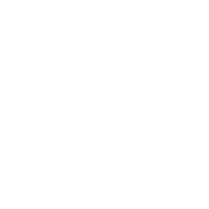 Accurate Kundli & Birth Chart Reading