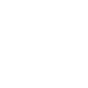 Numerology & Palmistry